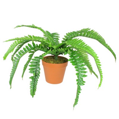 Northlight 15.75" Potted Artificial Long Green Boston Fern Plant