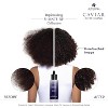 ALTERNA CAVIAR Anti-Aging Replenishing Moisture Hair Oil | Lightweight, Revives and Nourishes Hair | Increased Shine and Softness | - (1.7 oz) - 3 of 4