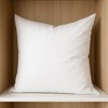 HomeRoots 24" White Cotton Down Blend Throw Pillow Insert - 2 of 4