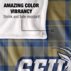 St. Edward'S University Campus Plaid Spirit Silky Touch Super Soft Throw Blanket 50x60 - 4 of 4
