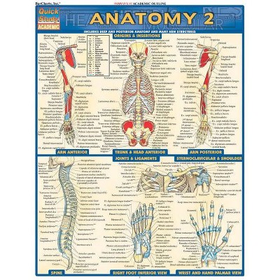 Anatomy 2 - Reference Guide (8.5 X 11) - (Quickstudy: Academic) by  Vincent Perez (Poster)