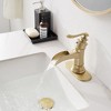 BWE Single Hole Single-Handle Low-Arc Bathroom Faucet - image 4 of 4