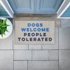 Stupell Industries Dogs Welcome People Tolerated Printed Outdoor Imitation Sisal Door Mat, design by Lil' Rue - 3 of 4