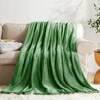 Inhand Fleece Throw Blanket for Couch Sofa or Bed, 50" x 60" Soft Fuzzy Plush Blanket, Luxury Flannel Blanket, Super Cozy and Comfy for All Seasons - 2 of 4