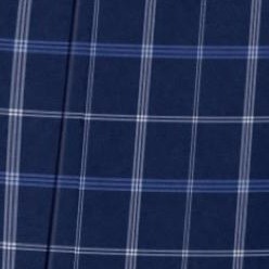navy double plaid