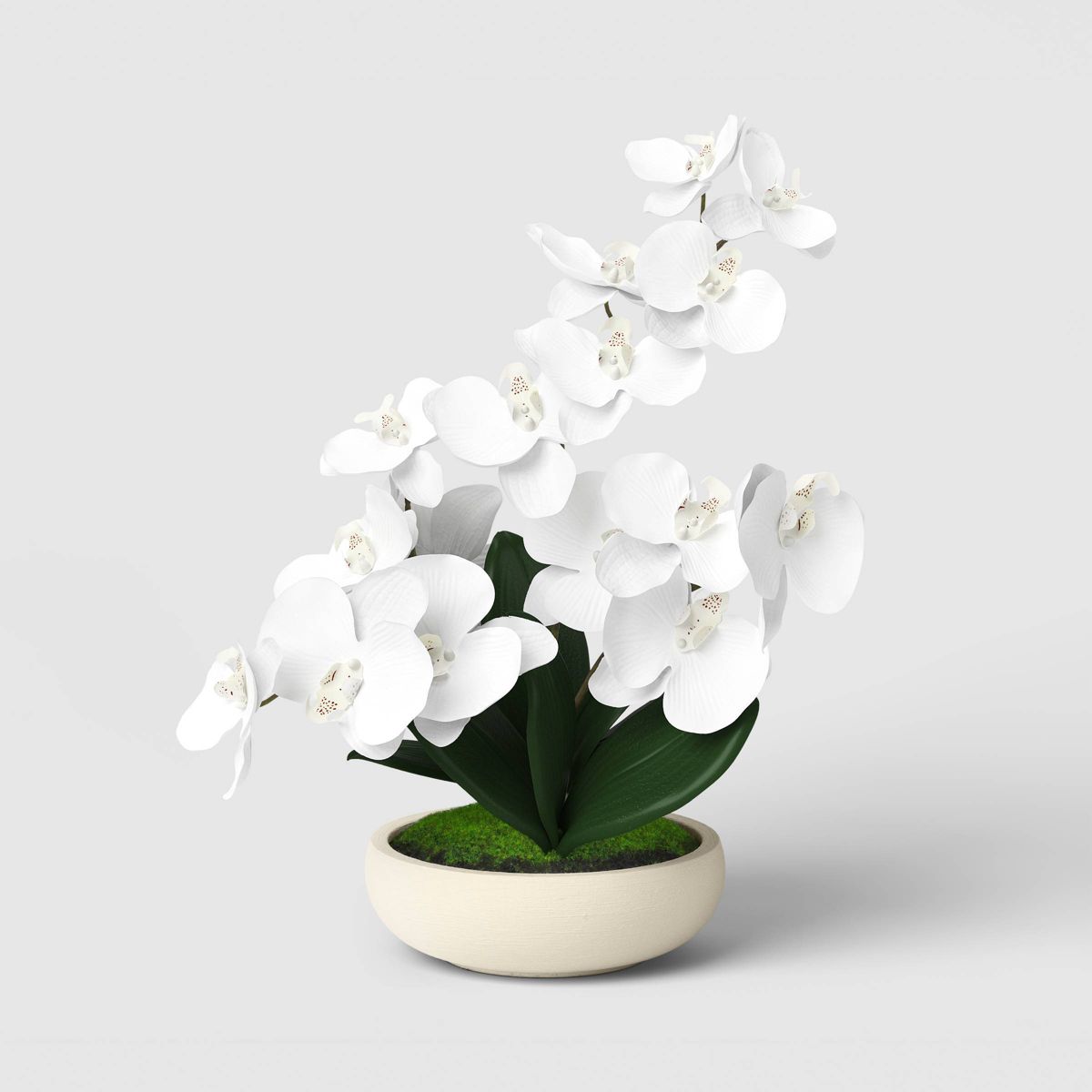 16" Artificial Orchid Dish Garden - Threshold™
