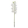 Floral Home 24" White Dendrobium Spray - 12-Piece - 2 of 2