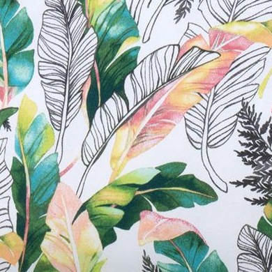 tropical plants