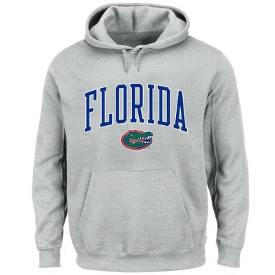 Ncaa Florida Gators Men's Big & Tall Gray Hoodie : Target