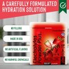 PowderVitamin Electrolytes Powder Plus™ 50 Servings - 4 of 4
