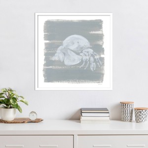 Amanti Art Soft Sea Hermit Crab by Yvette St. Amant Wood Framed Wall Art Print - 1 of 4