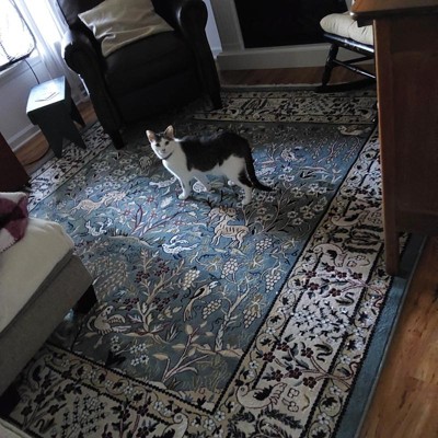 Guest review image 1 of 1, zoom in
