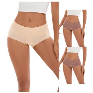 INSPIRE CHIC 3 Pcs Women's Plus Size High Waist Tummy Control Briefs Butt Lifter Control Panties - 1 of 4