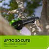 Greenworks POWERALL 8" 24V 2Ah Cordless Polesaw Kit with Battery and Charger: 9' Length, 11' Reach - 3 of 4