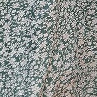 lightgreen print