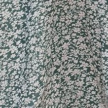 lightgreen print