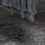 olive, taupe, white, dustysage, lightgray, paleblue