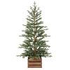 Haute Decor 4.5' Prelit Alberta Pine Potted Christmas Tree - 2 of 4