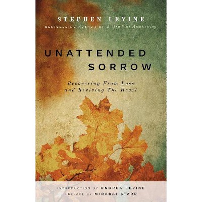 Unattended Sorrow - by  Stephen Levine (Paperback)