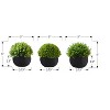 Gulches 5in Artificial Grass Tree in Black Pot Set of 3 Green Indoor Faux Plants for Tabletop Desk Shelf Decorative Greenery - 4 of 4