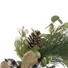 Northlight Magnolia and Frosted Pine Cones Artificial Christmas Wreath -  22-Inch, Unlit - 3 of 4