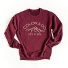 Simply Sage Market Embroidered Colorado Mountains Sweatshirt - 2 of 4