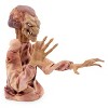 Toynk Horror Reachers Pumpkinhead 13-Inch Boxing Puppet Toy | Toynk Exclusive - 3 of 4