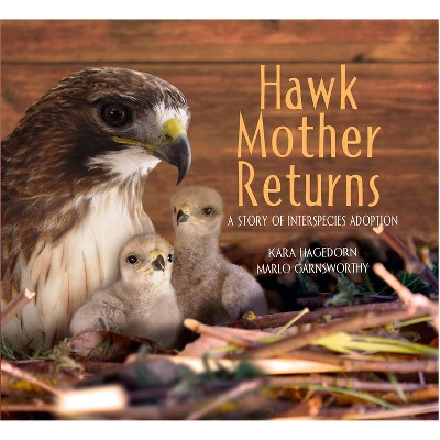Hawk Mother Returns - by  Kara Hagedorn & Marlo Garnsworthy (Hardcover)