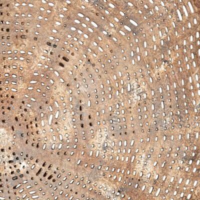 Brown Iron Trunk Stump Wall Sculpture, 23" Diameter