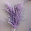 Alilang Decorative Dried Tall Grass Stems for Home Decoration and Floral Arrangements, 27.5 Inches - 4 of 4