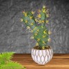 Craftoutlet.Com 10.0 Inch Green Potted Cactus Succulents Realistic Look Figurines - 2 of 4