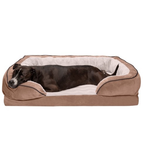 Cornelia dog sofa with solid best sale foam cushion