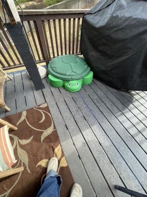 target sandbox turtle