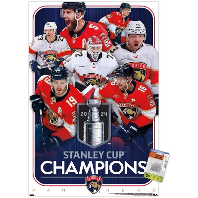 clear push pins bundle