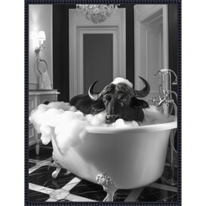 Amanti Art Curious Buffalo In the Tub by Niky Rahner Framed Canvas Wall Art - 1 of 4
