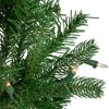 Northlight 4' Pre-Lit Sierra Noble Fir Artificial Christmas Tree, Clear Lights - 4 of 4