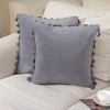 2 Pieces Tassels Velvet Throw Pillow Covers - 2 of 4