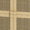 Maliang 4-Doors Rattan Mesh Storage Cabinet with multiple Storage Spaces, 31.50 x 15.75 x 38.98" - 4 of 4