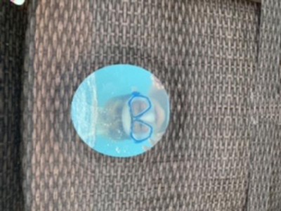 Guest review image 1 of 2, zoom in