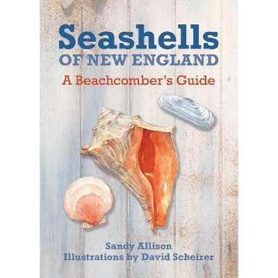  Seashells of New England - by  Sandy Allison (Paperback) 