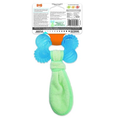 Nylabone Small Blue and Green Peanut Butter Freezer Bone Toy