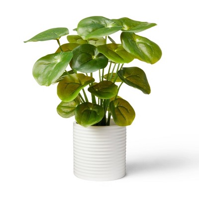  11.5"  x 6" Artificial Pilea Plant in Ribbed Ceramic Pot White -  Hilton Carter for Target 