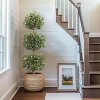 5FT Artificial Olive Triple Ball Topiary Trees with Moss & Inner Pot, Realistic Fake Shrubs Trees, Faux Plants Round Bushes Fake Shrubs Potted - 4 of 4
