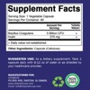Bacillus Coagulans 5 Billion CFU | 60 Vegetable Capsules - 2 of 4