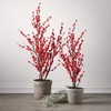 31"H and 38"H Sullivans Potted Red Berry Tree - Set of 2, Red - 3 of 3
