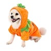 Dog Hoodie Cute Funny Halloween Style Pumpkin Cosplay Costume Warm Puppy Fleece Clothes - 3 of 4