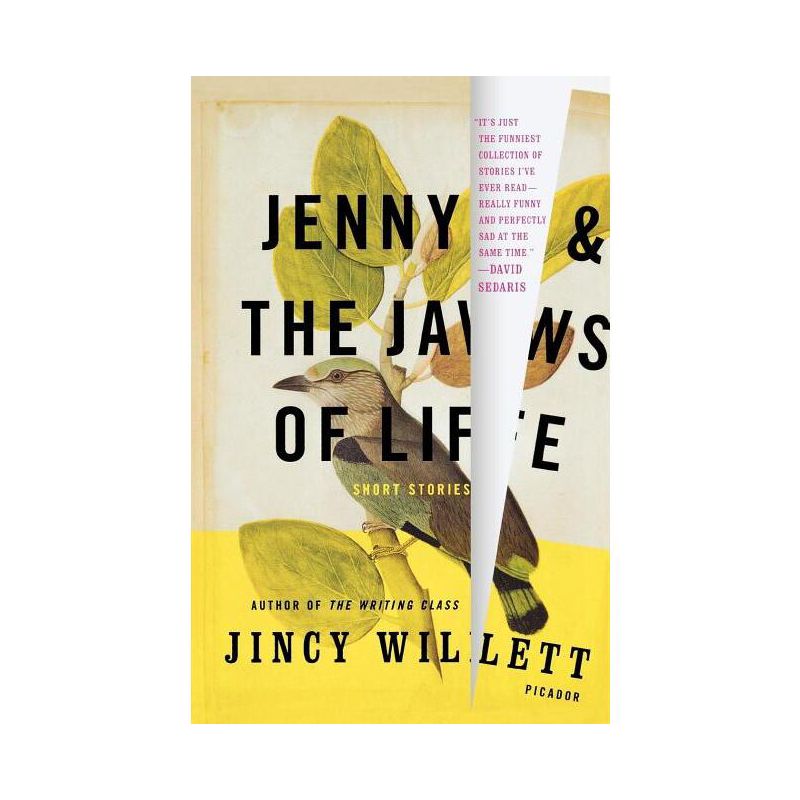 Jenny and the Jaws of Life - by  Jincy Willett (Paperback), 1 of 2