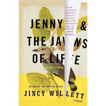 Jenny and the Jaws of Life - by  Jincy Willett (Paperback)