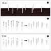 Dovelina Outdoor PVC Raised Bed for Gardening, Planter Box with Open Bottom With Ground Stakes - 4 of 4