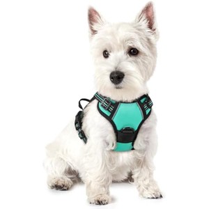 rabbitgoo Dog Harness No Pull with 2 Leash Clips, Control Handle for Puppy, Turquoise, XS - 1 of 1